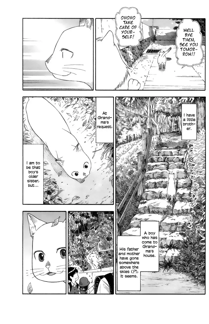 Neko Ane Chapter 13 7